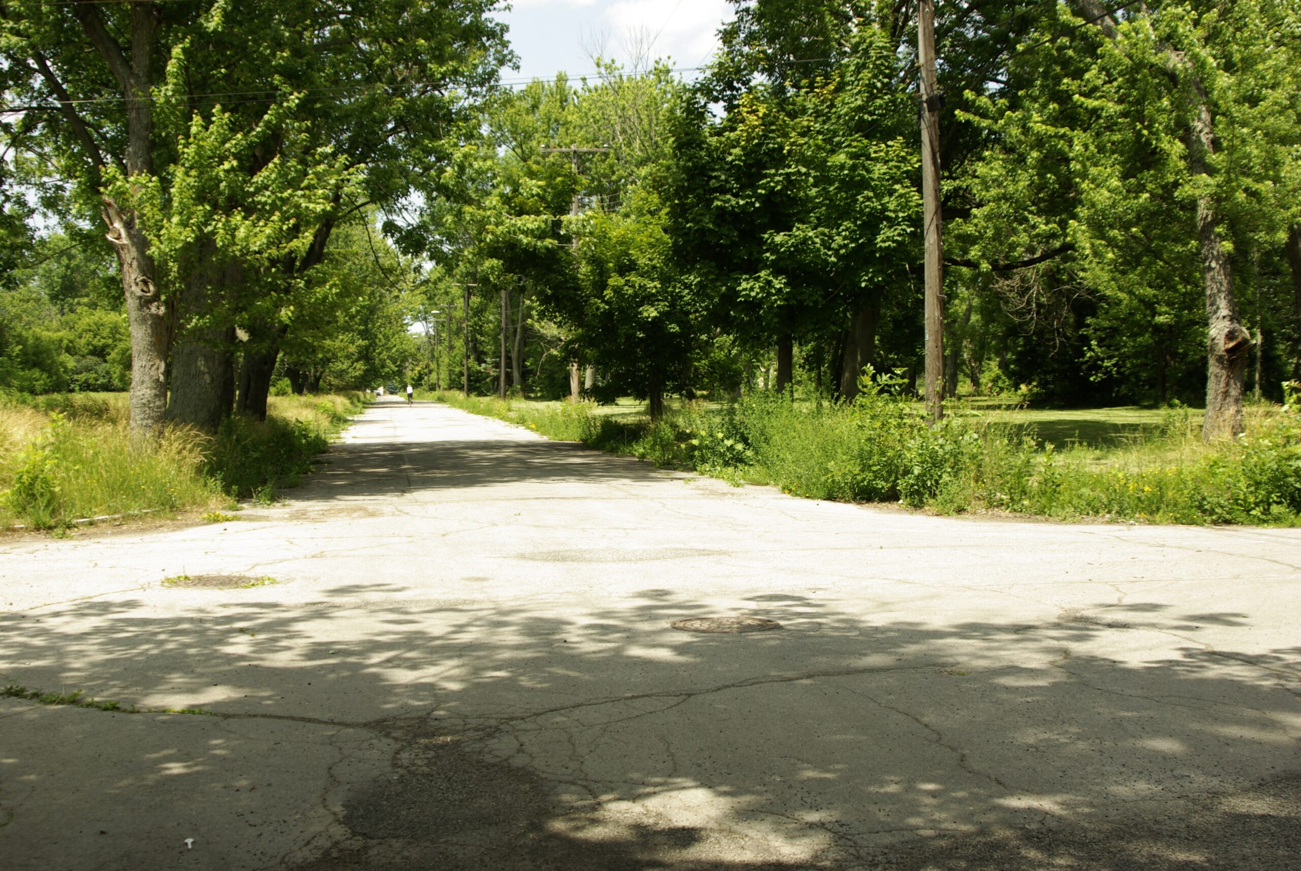 The Love Canal Disaster
