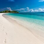Top Tips for Getting the Most Out of Your USA Vacation