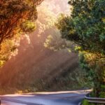 Planning Your Dream USA Trip: Pro Tips for an Unforgettable Experience