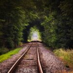 The Dos and Don’ts of Traveling in the USA: Expert Tips and Advice