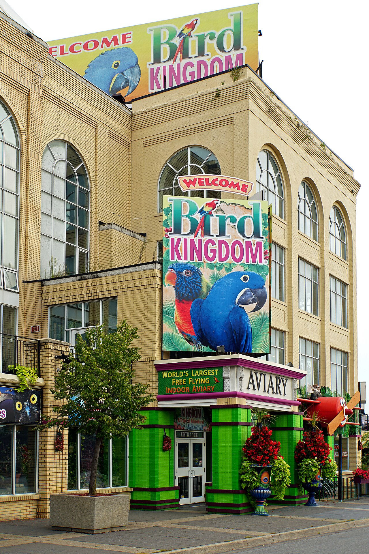 Bird Kingdom