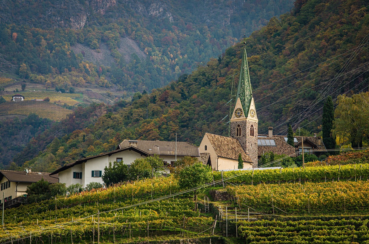 Cave Spring Vineyard
