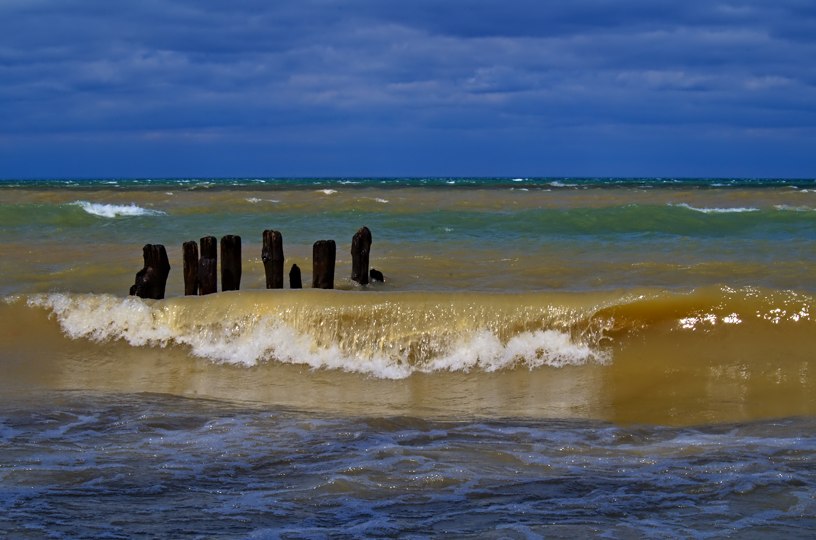 Charles Daley Park