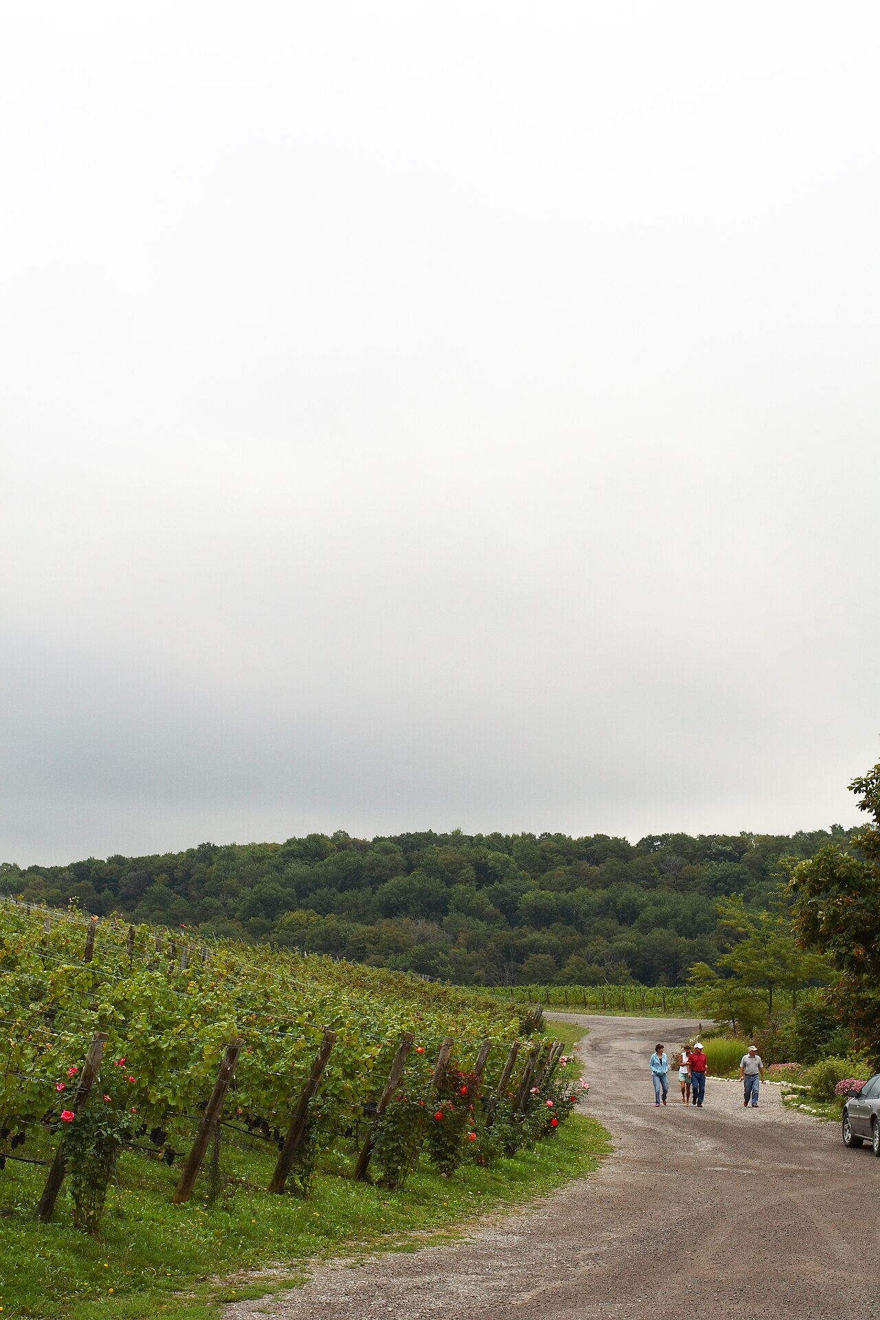 Malivoire Wine Company