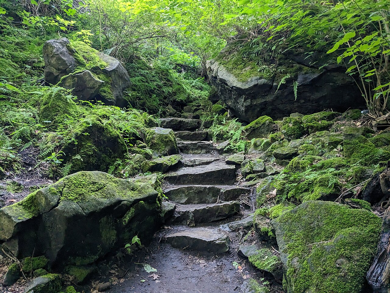 Niagara Glen Nature Reserve