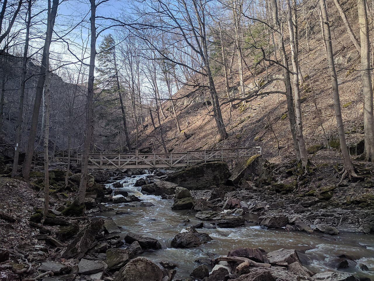 Rockway Conservation Area