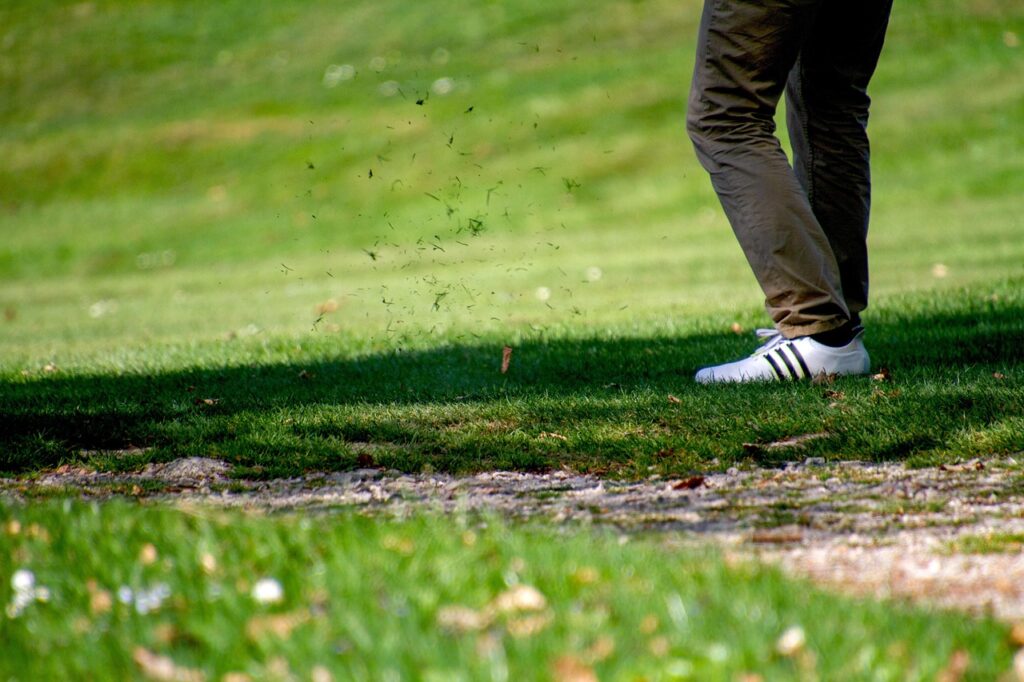 Close-cut putting green with a flagstick, backed by mature trees on a summer afternoon