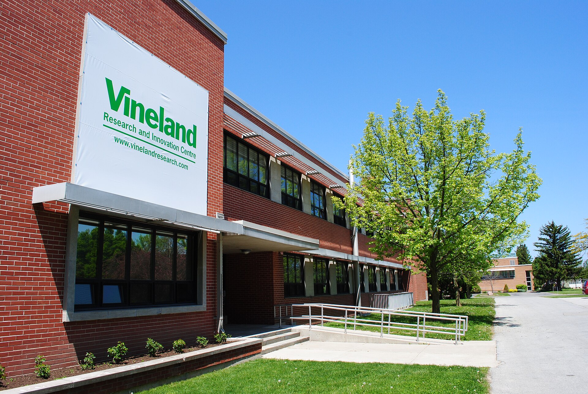 Vineland