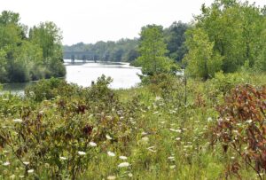 The Welland River winding through rural meadows in the Niagara region of Ontario — the river on which the hamlet of Wellandport sits.